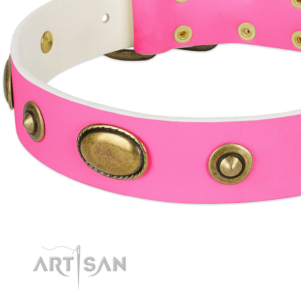 Rust-proof hardware on full grain leather dog collar for your dog