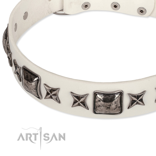 Everyday use embellished dog collar of quality full grain genuine leather