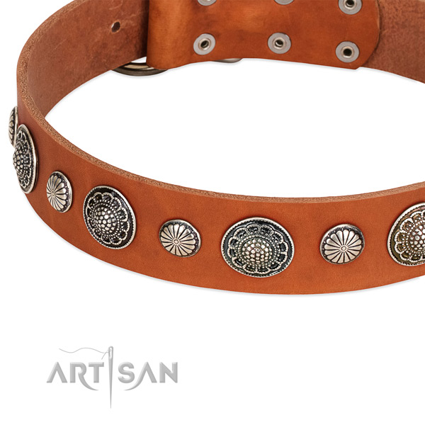 Full grain natural leather collar with durable buckle for your impressive canine