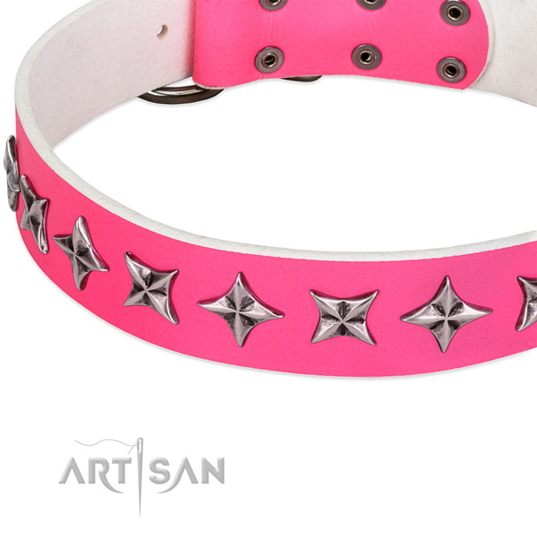 Walking adorned dog collar of reliable full grain natural leather