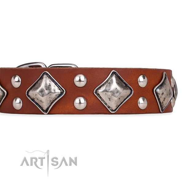 Genuine leather dog collar with unique rust-proof studs