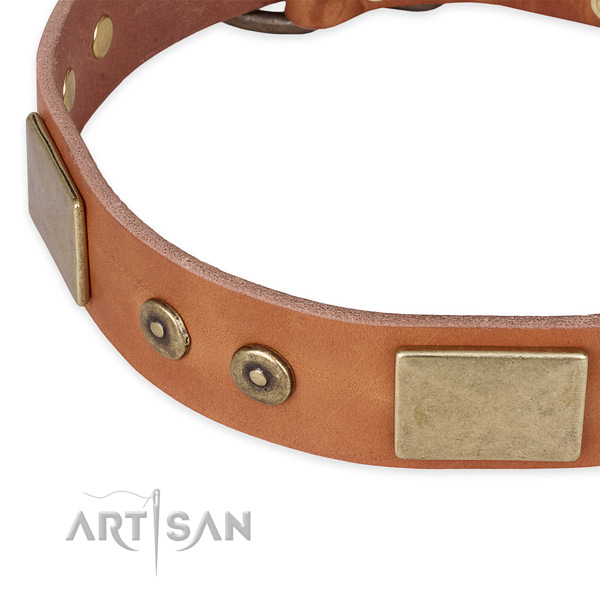 Rust-proof buckle on full grain leather dog collar for your four-legged friend