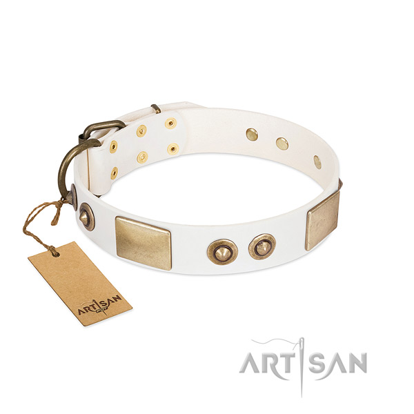 Reliable hardware on genuine leather dog collar for your canine
