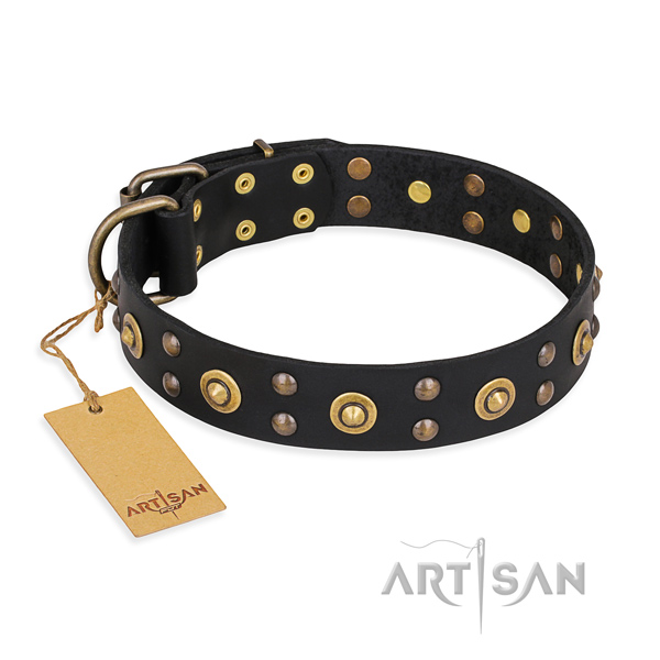 Comfortable wearing designer dog collar with corrosion proof buckle
