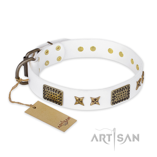 Embellished full grain leather dog collar with corrosion proof buckle