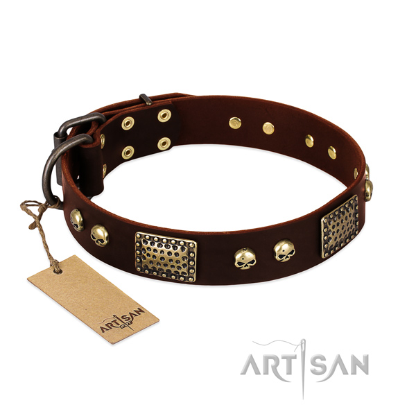 Easy wearing full grain genuine leather dog collar for everyday walking your pet
