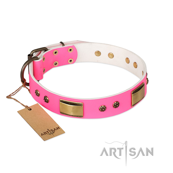 Unusual natural genuine leather collar for your doggie