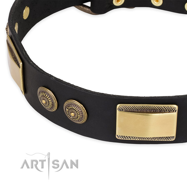 Decorated full grain leather collar for your impressive four-legged friend