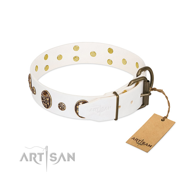 Corrosion resistant traditional buckle on natural genuine leather dog collar for your four-legged friend