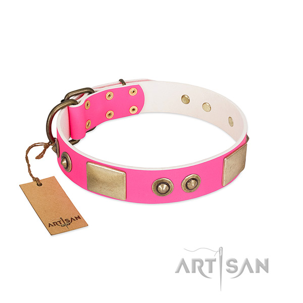 Durable buckle on full grain leather dog collar for your pet