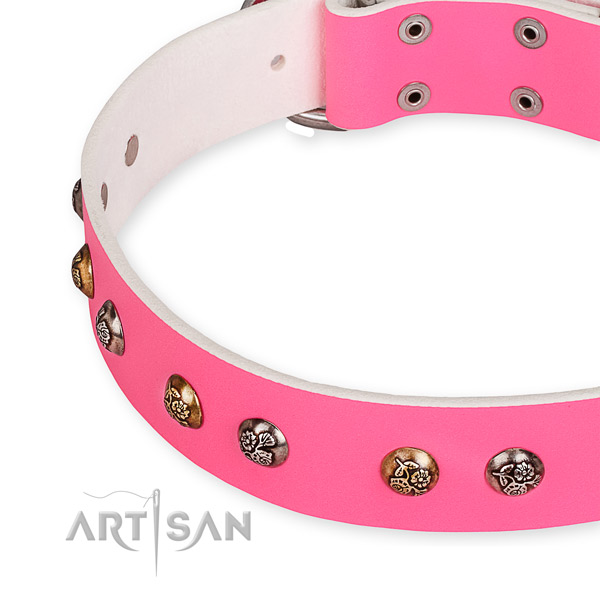 Natural leather dog collar with significant durable decorations