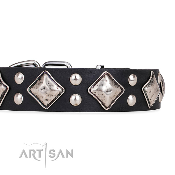 Natural leather dog collar with significant durable decorations