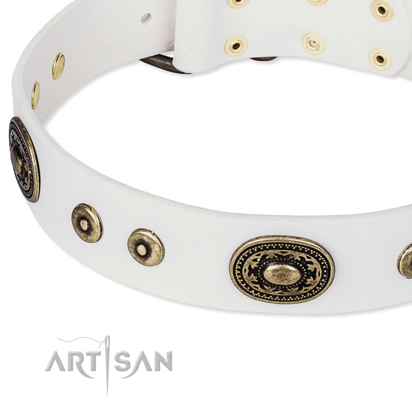 Leather dog collar made of high quality material with studs