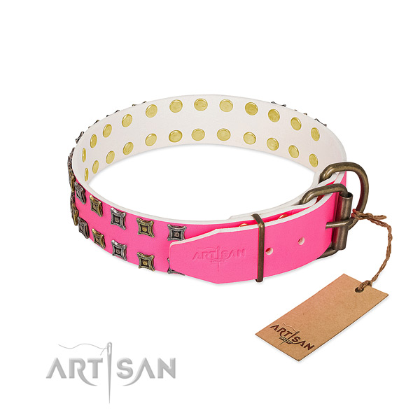 Full grain natural leather collar with amazing adornments for your canine