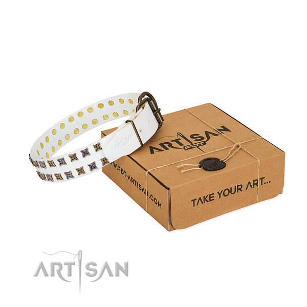 Genuine leather collar with significant decorations for your four-legged friend
