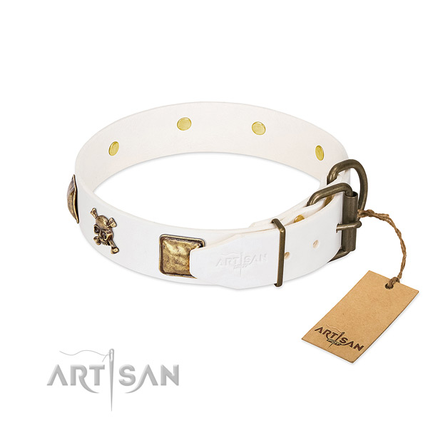 Remarkable natural leather dog collar with rust resistant embellishments