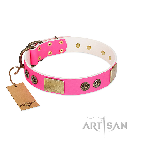 Significant leather dog collar for everyday use