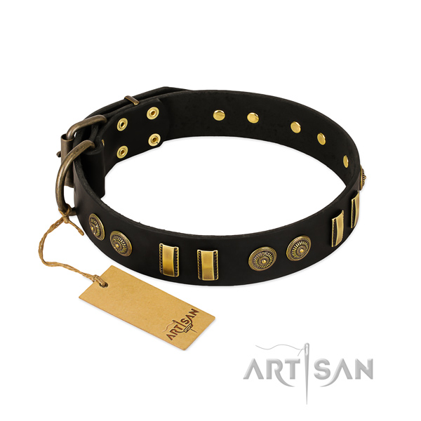 Reliable studs on genuine leather dog collar for your canine