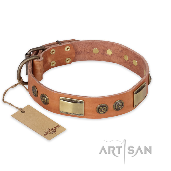 Comfortable genuine leather dog collar for daily use