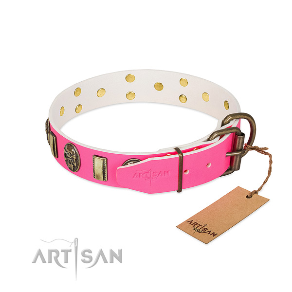 Reliable adornments on full grain leather dog collar for your canine