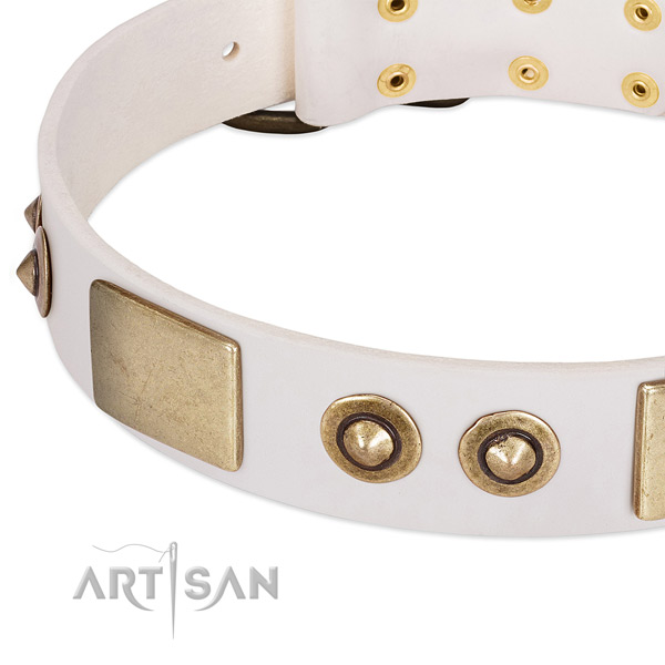 Corrosion proof embellishments on leather dog collar for your doggie