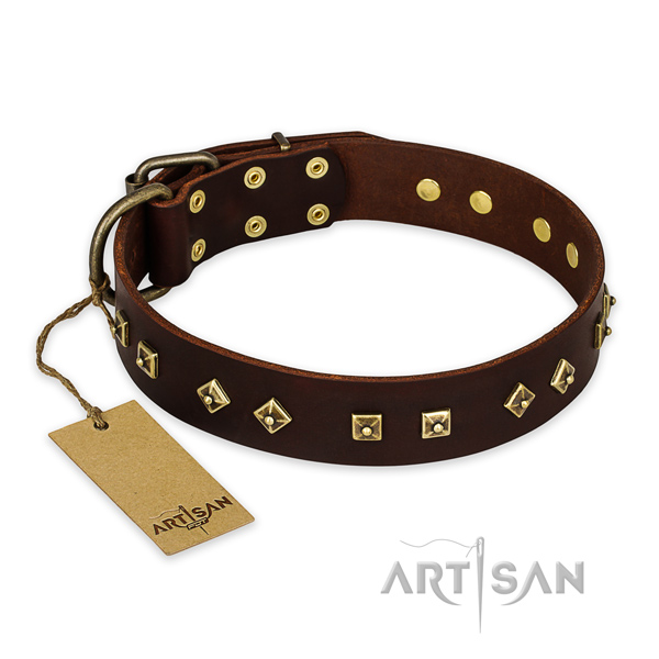 Studded leather dog collar with strong hardware