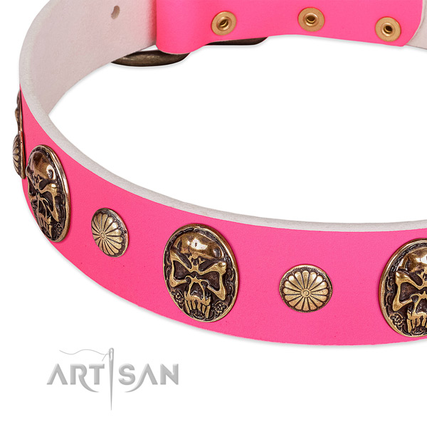 Corrosion resistant adornments on full grain natural leather dog collar for your four-legged friend