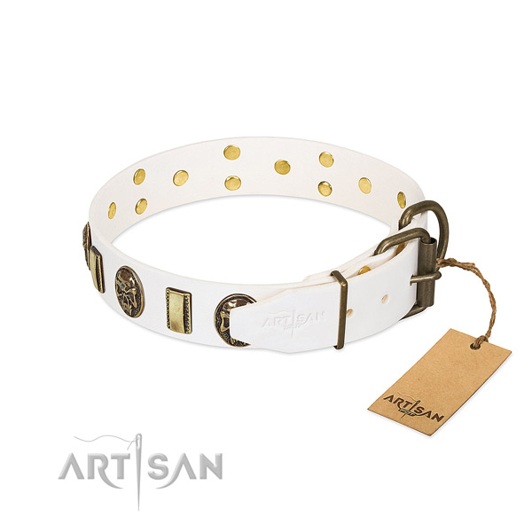 Durable D-ring on leather collar for stylish walking your dog