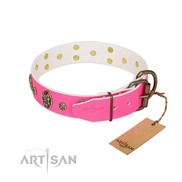 Rust resistant hardware on full grain leather collar for fancy walking your canine