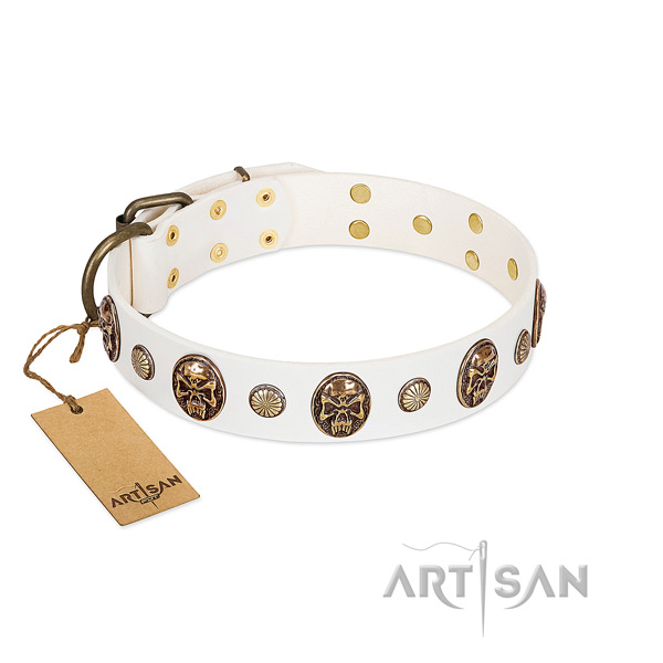 Inimitable full grain natural leather dog collar for walking