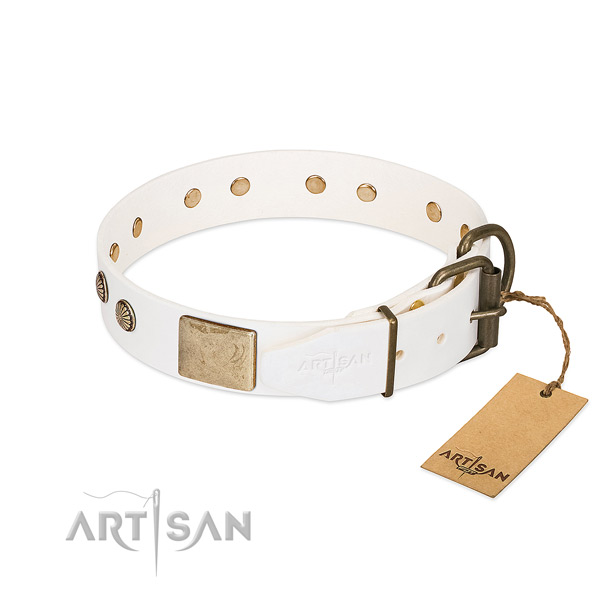 Reliable hardware on daily use dog collar