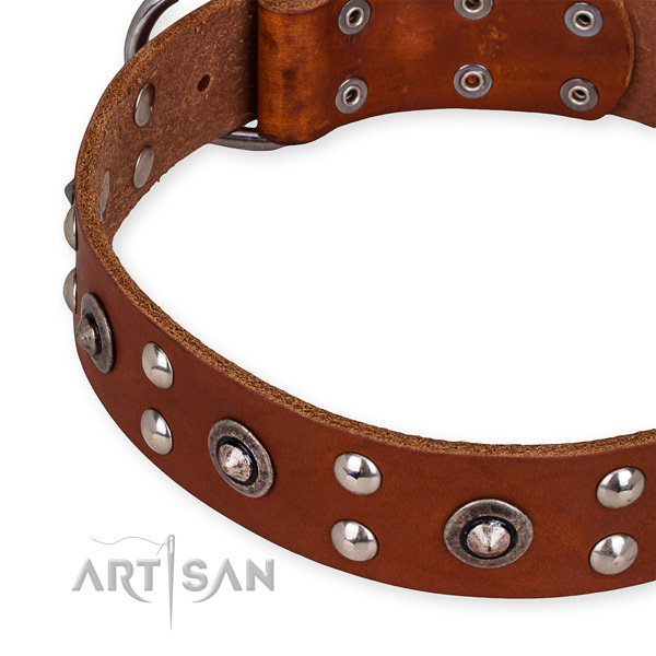 Genuine leather collar with durable buckle for your handsome canine