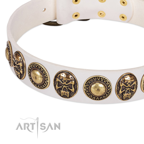 Corrosion proof hardware on genuine leather dog collar for your pet