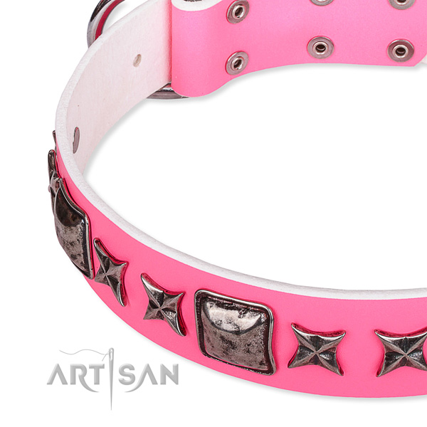 Walking embellished dog collar of top quality full grain leather