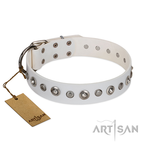Fine quality natural leather dog collar with unique adornments