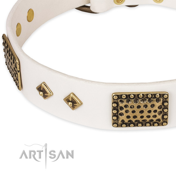 Corrosion proof hardware on leather dog collar for your canine