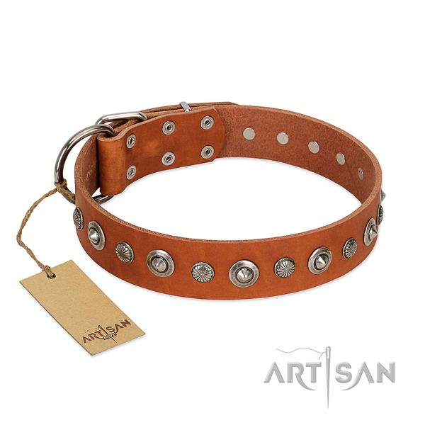 High quality genuine leather dog collar with amazing decorations