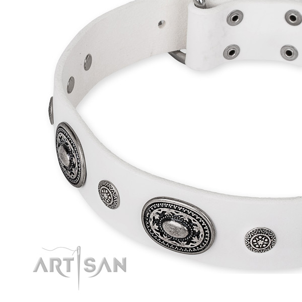 Best quality leather dog collar handmade for your attractive four-legged friend