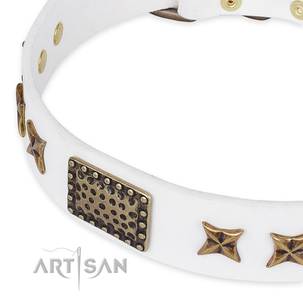 Full grain genuine leather collar with corrosion proof buckle for your stylish dog