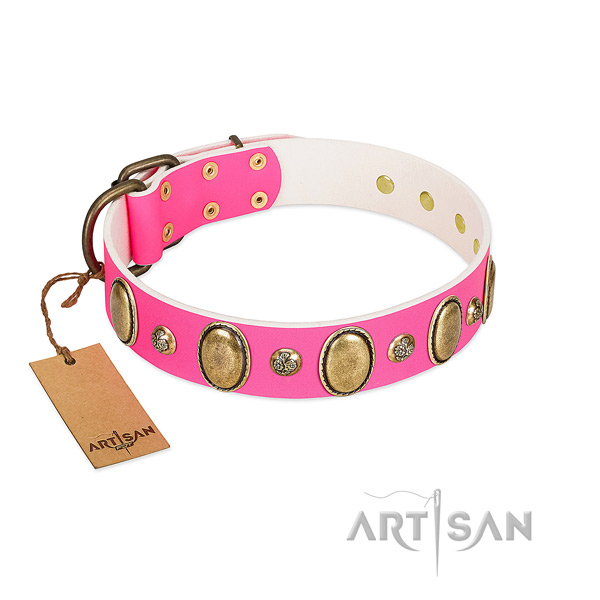 Full grain natural leather dog collar of top rate material with incredible adornments