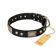 "Pirates Gold" FDT Artisan Black Leather English Bulldog Collar with Old Silver Look Plates and Skulls