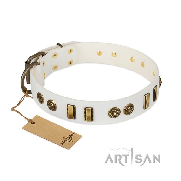 Strong D-ring on natural leather dog collar for your dog