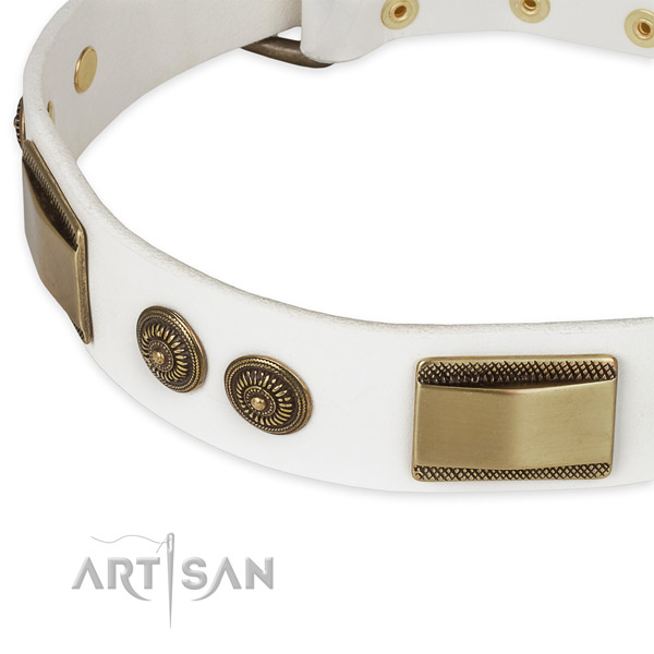 Reliable adornments on genuine leather dog collar for your dog