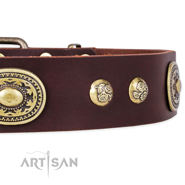 Adorned genuine leather collar for your impressive canine