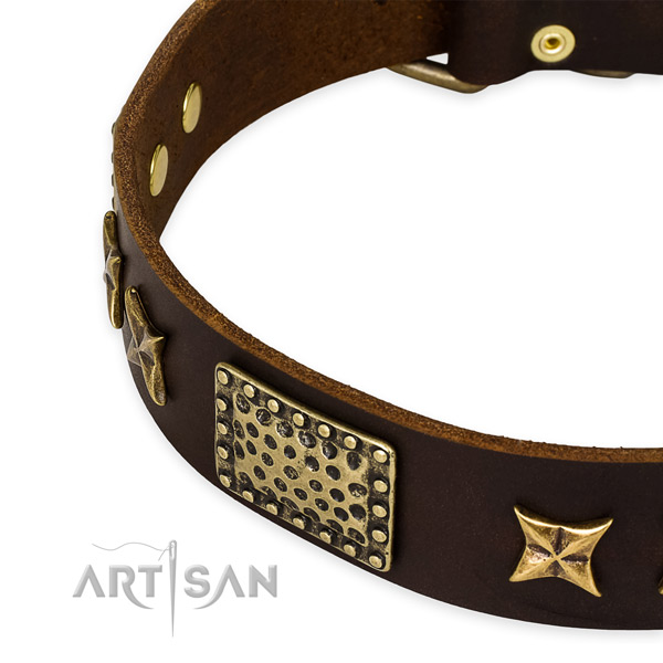 Full grain leather collar with corrosion resistant buckle for your beautiful pet
