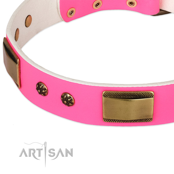 Corrosion resistant adornments on leather dog collar for your dog