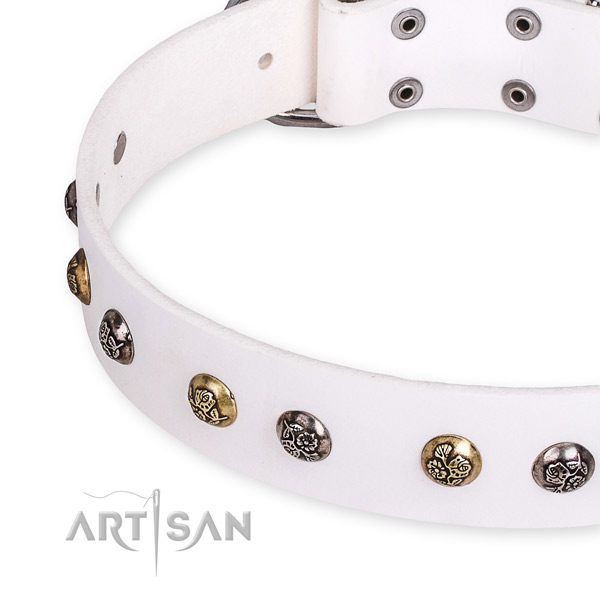 Genuine leather dog collar with incredible strong adornments