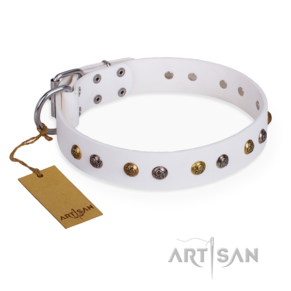 Fancy walking handcrafted dog collar with rust-proof hardware