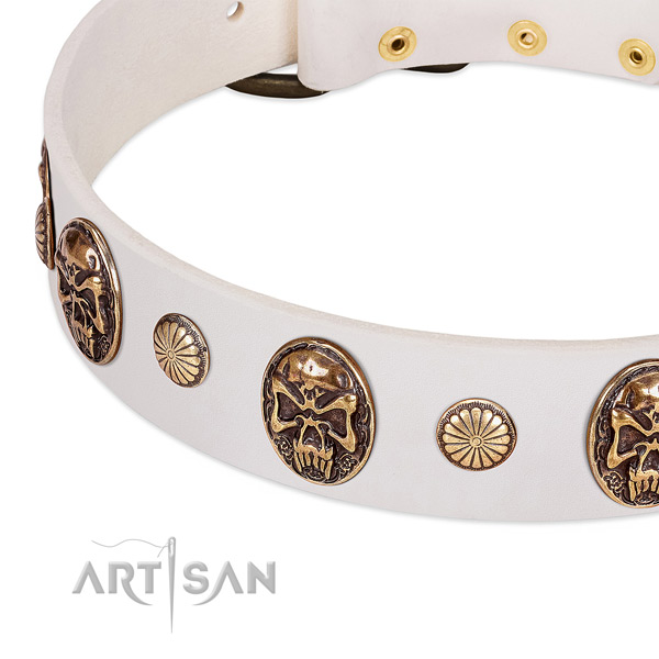 Rust resistant embellishments on natural genuine leather dog collar for your canine