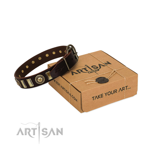 Reliable natural leather dog collar with rust-proof buckle